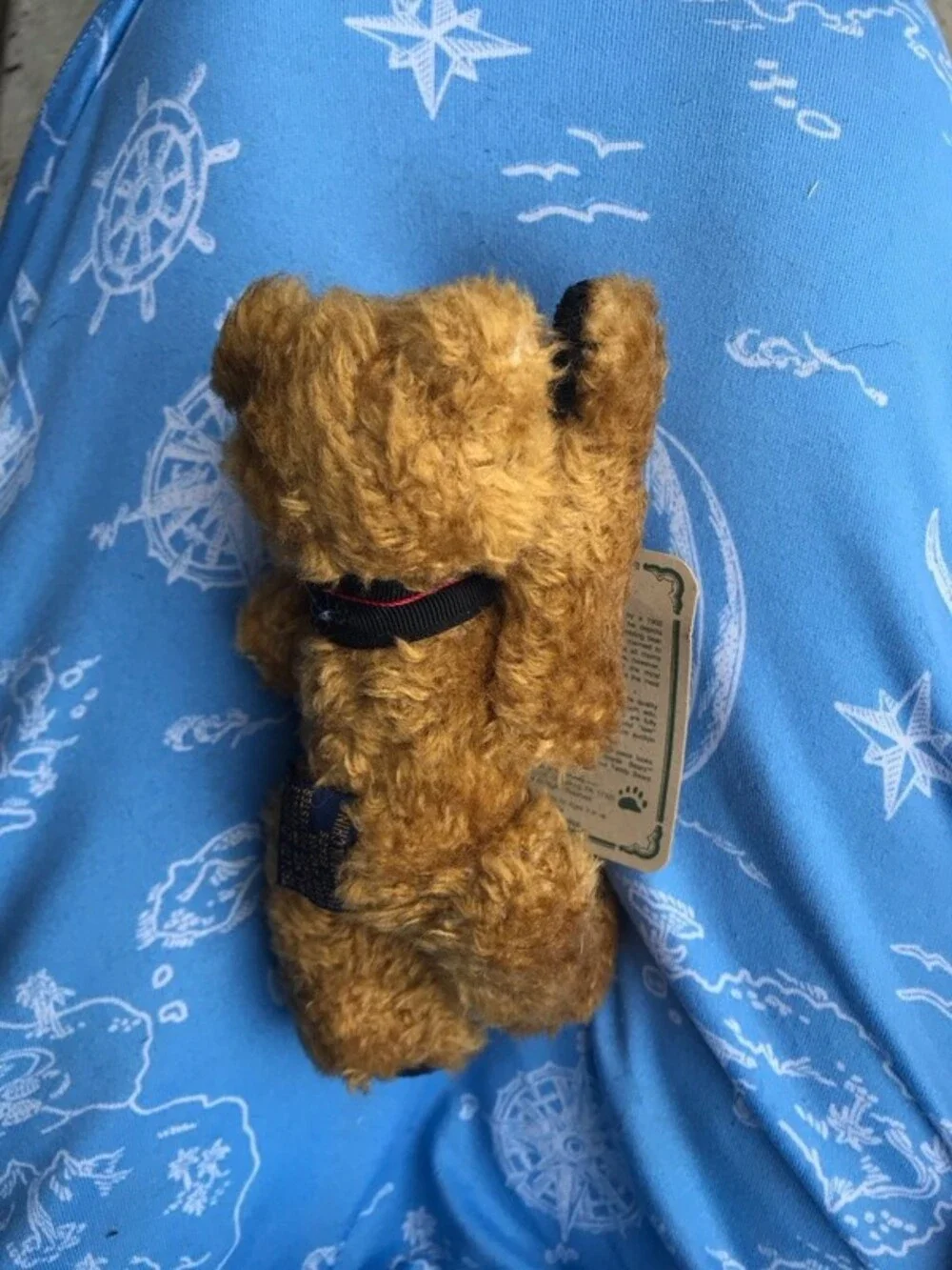 Boyd bear vintage boyds
